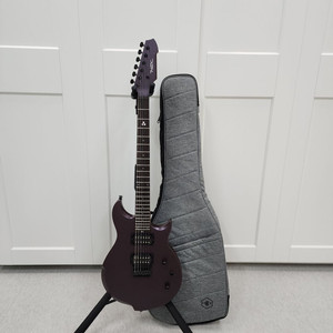 헥스 일렉기타 W300 메탈릭딥퍼플