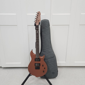 헥스 일렉기타 W300 메탈릭브론즈