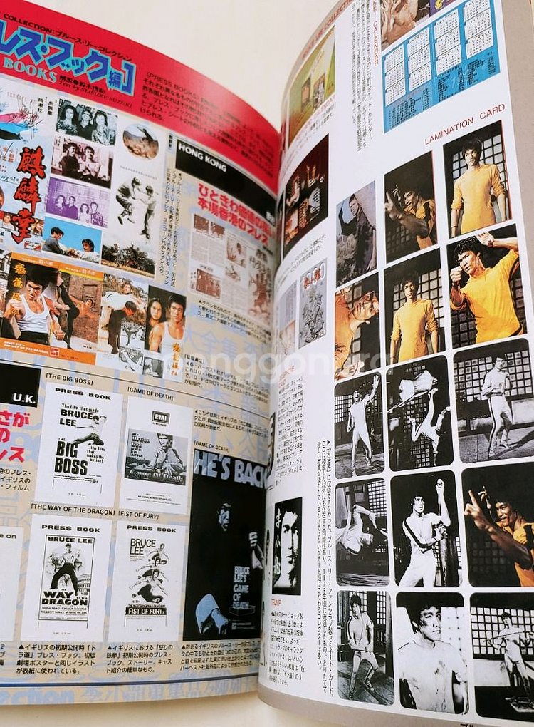 이소룡 브루스리 집대성 초전집--8