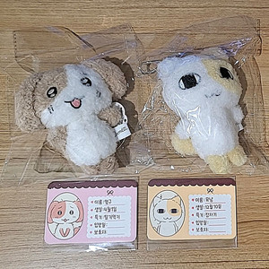 묘냥이와 멍구 인형 굿즈 팝업스토어 연도문구 홍대 누이