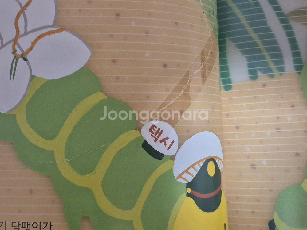 도레미곰 50권 택포--8