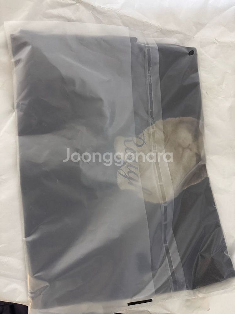 foeto 포에토 키티 티셔츠 차콜--1