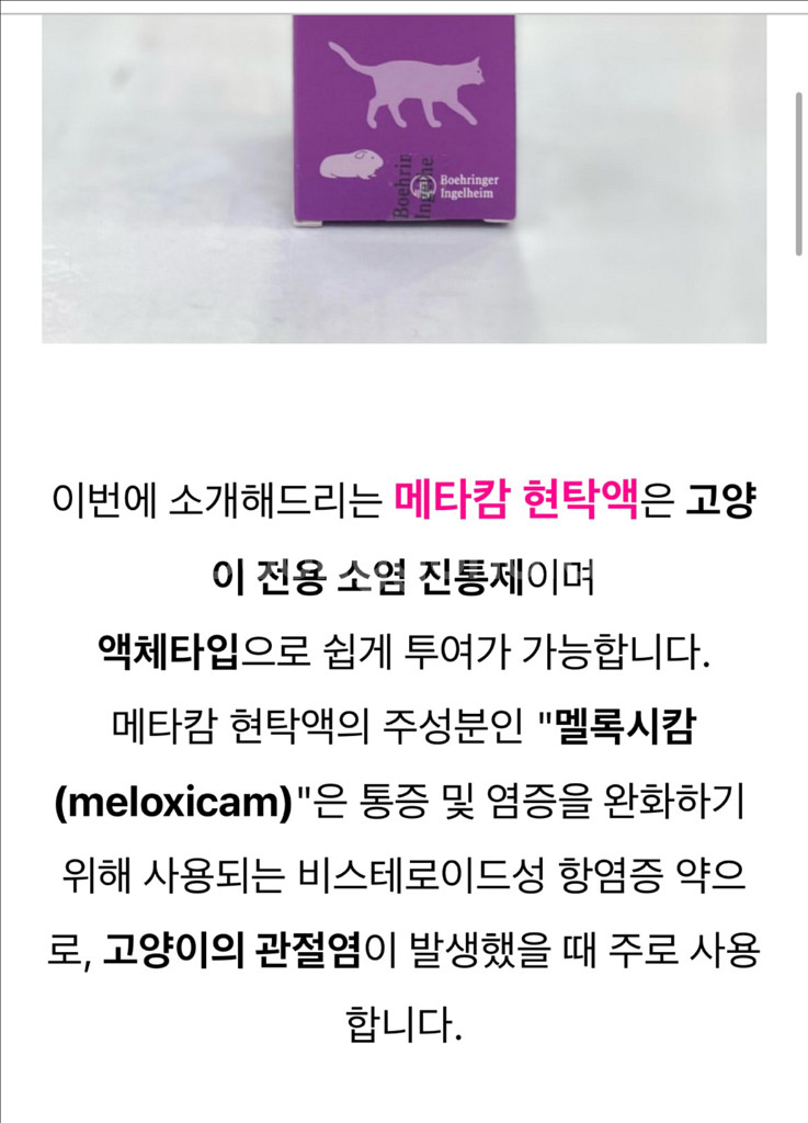 메타캄 현탁액2개 고양이 전용 소염 진통제--1