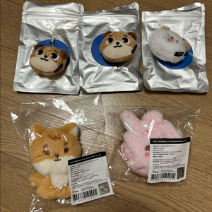 데이식스 페이스키링 핑거케 백팩필