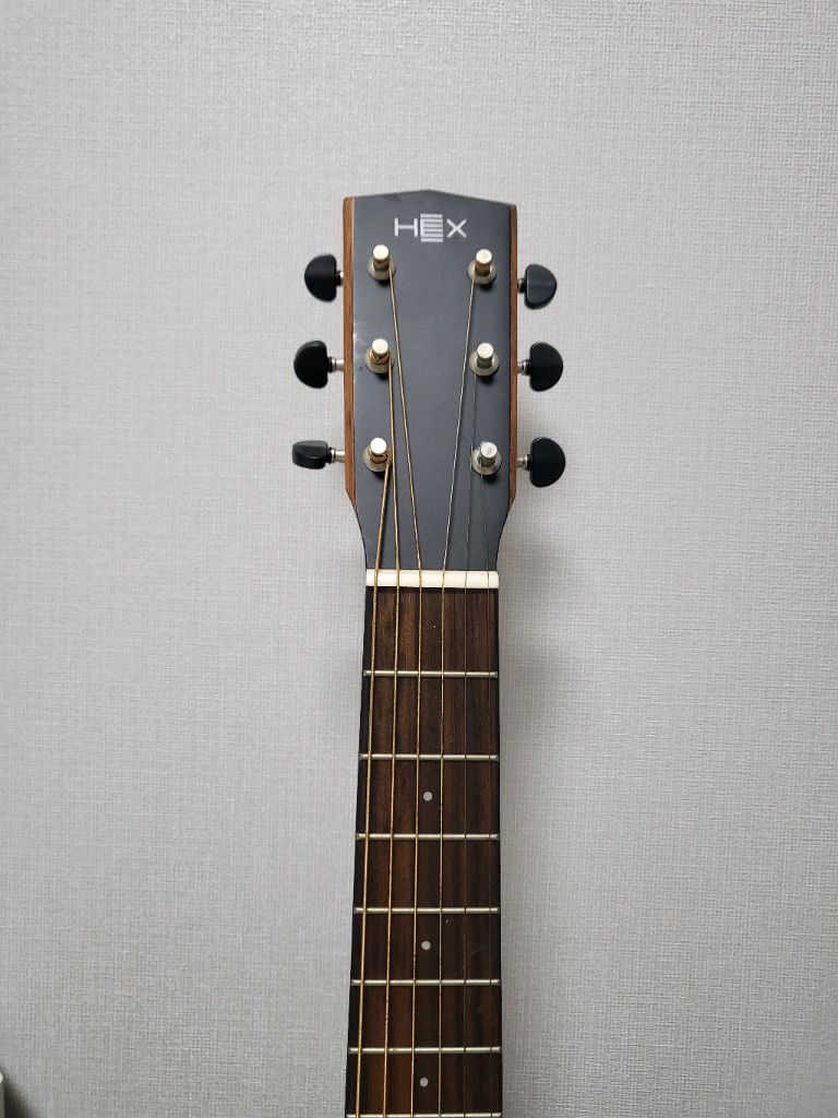 HEX INSTRUMENTS BB100S アコースティックギター BB100S M - HEX Guitars