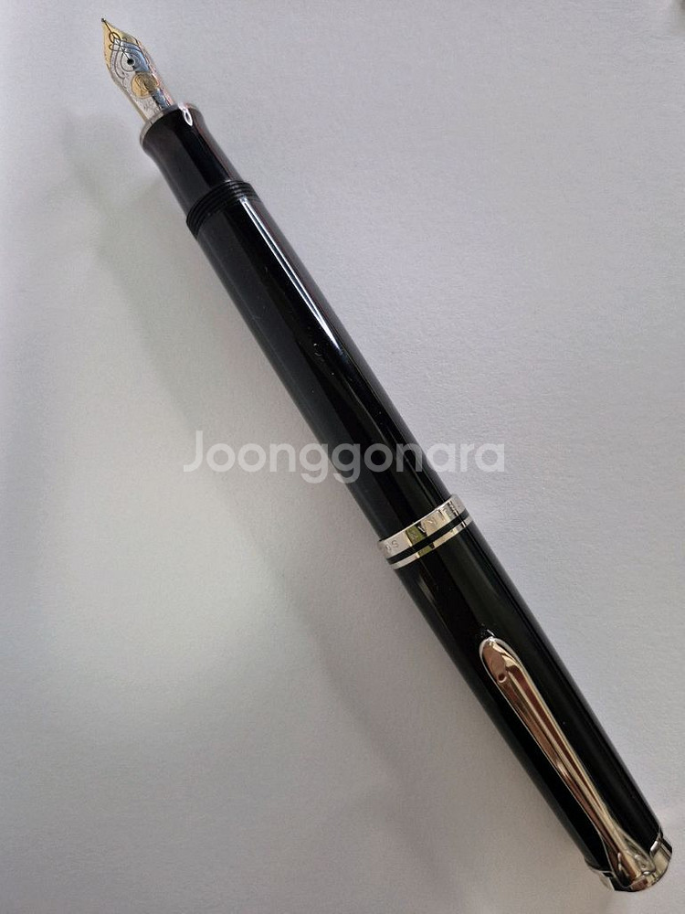 펠리칸만년필 M600--1