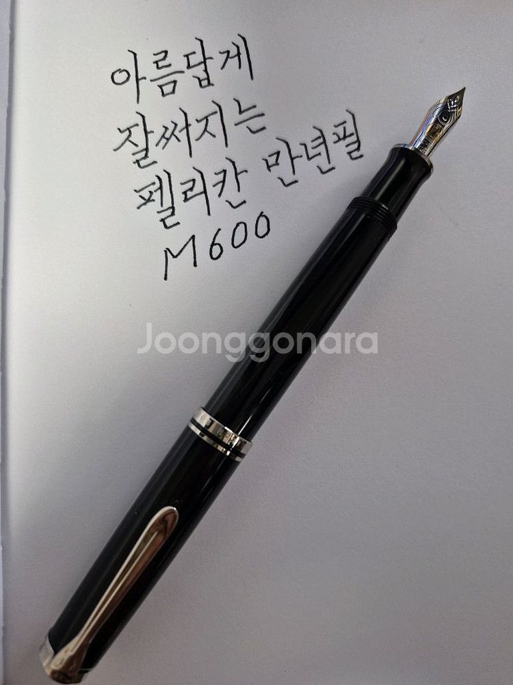 펠리칸만년필 M600--4