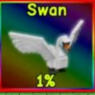 그로우 어 가든 백조