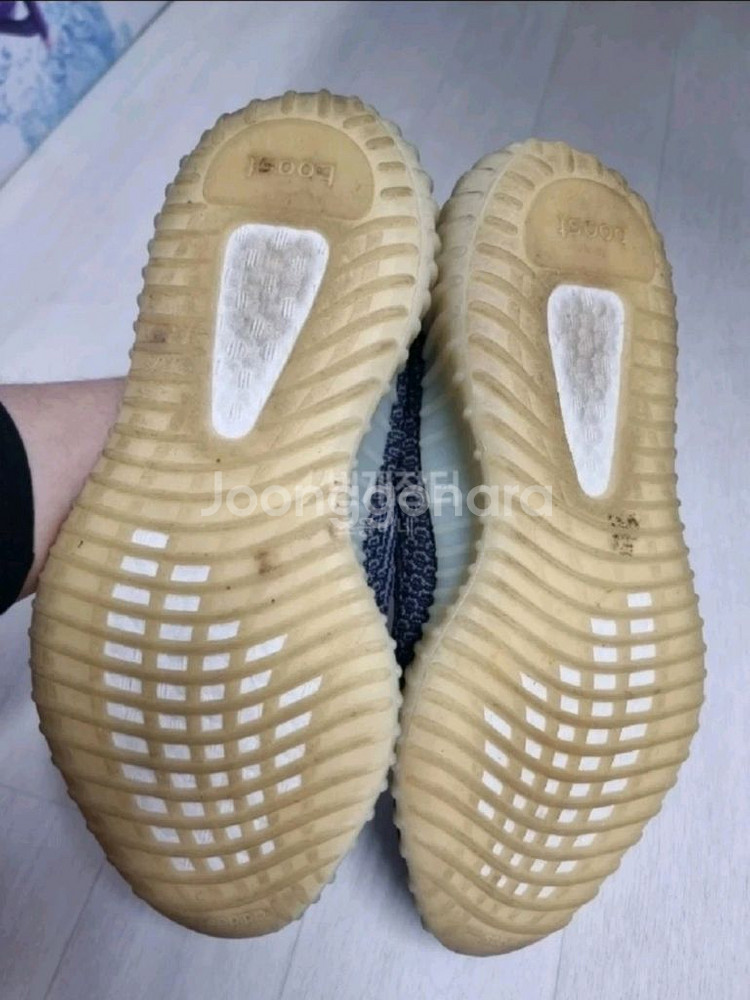 이지부스트 350카본 (260)--3