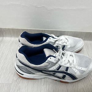 로테리브레 체대입시화 아식스 230