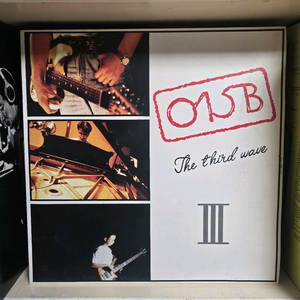 015B의 The Third Wave LP 음반