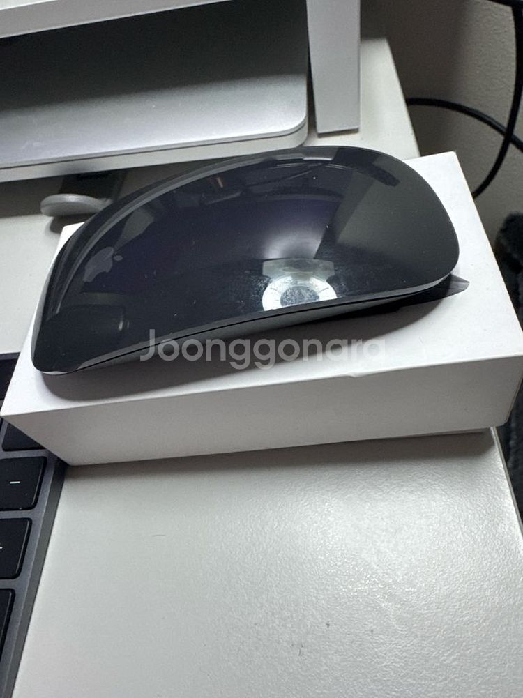 애플 매직 마우스2 스페이스그레이--0