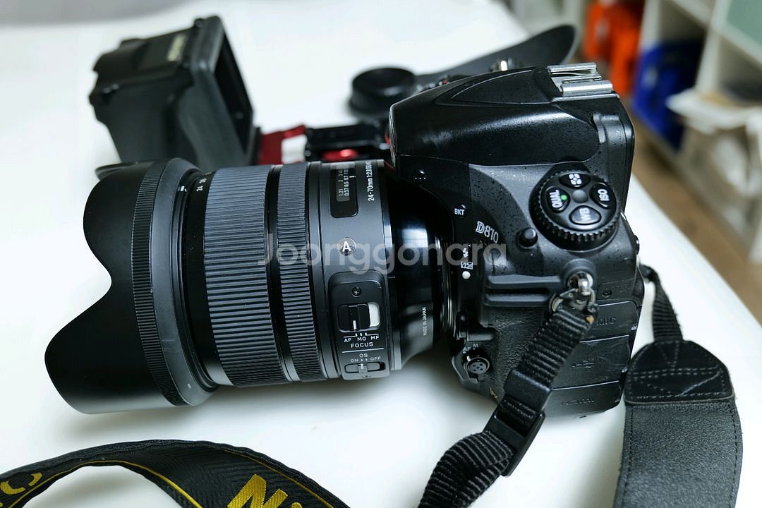 니콘 D810 와 시그마 24-70mm F2.8 DG--4