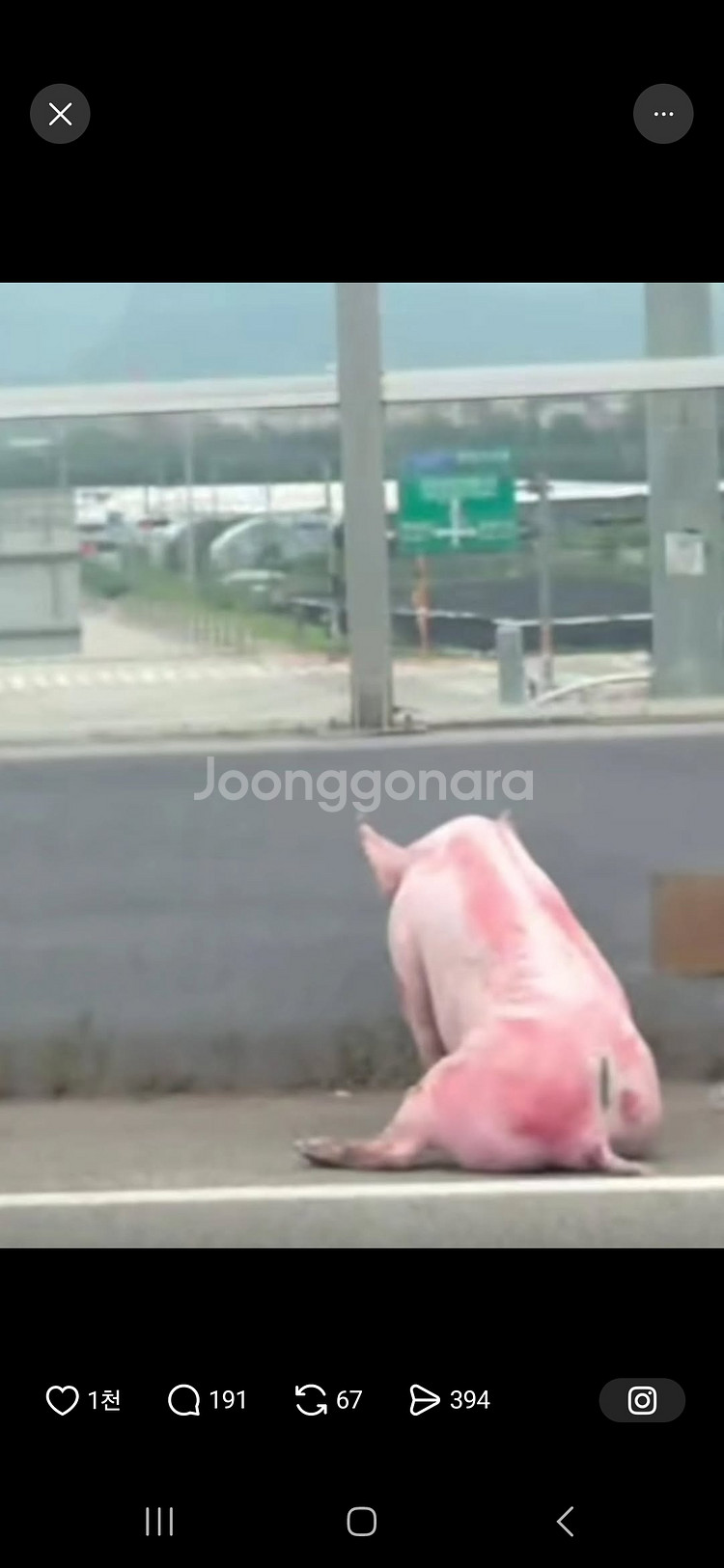 메이플랜드 두글자 닉네임 삼니다.--0