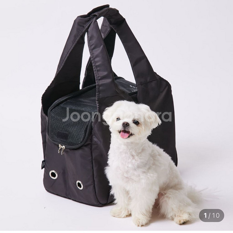 3651 이지캐리백 강아지 고양이 이동가방 이동장--0