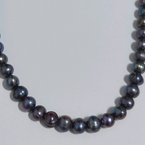 흔하지않은 담수 흑진주 목걸이
