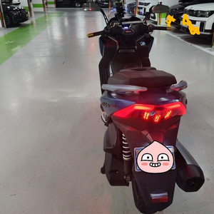 에릭300