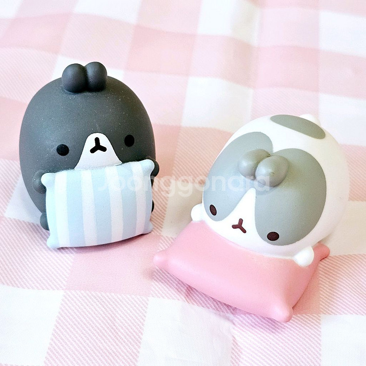 몰랑이 몰냥이, 디저트카페, 포근포근, 잠자는몰랑, 크--3