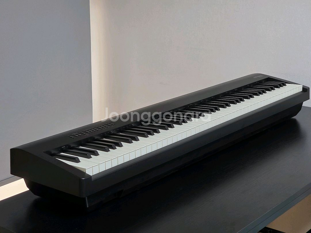 롤랜드 FP-30X--0