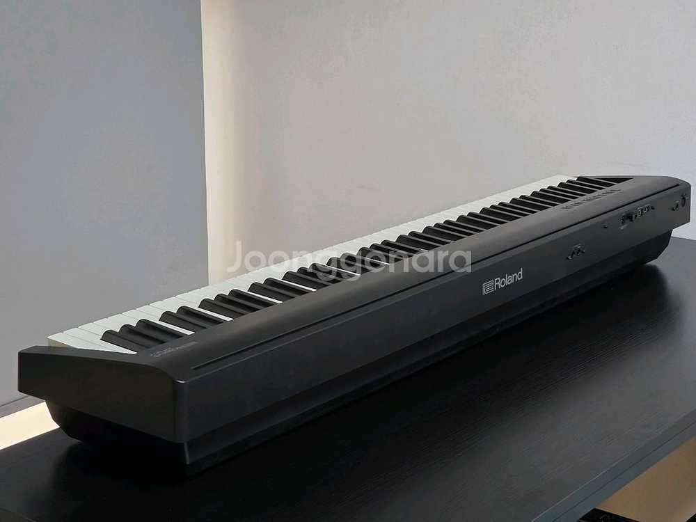 롤랜드 FP-30X--1
