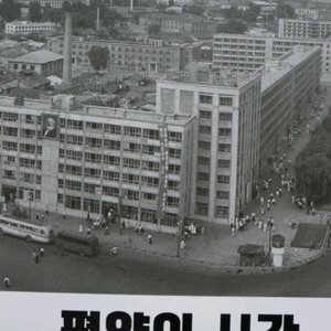 평양의 시간이라는 희귀도서 판매합니다.