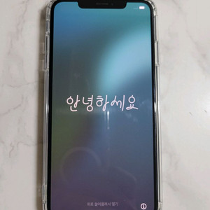 아이폰 xs max 256