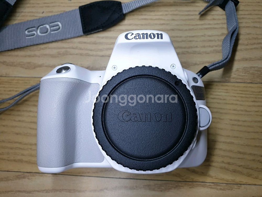 캐논 EOS 200D DSLR 카메라(택포)--3