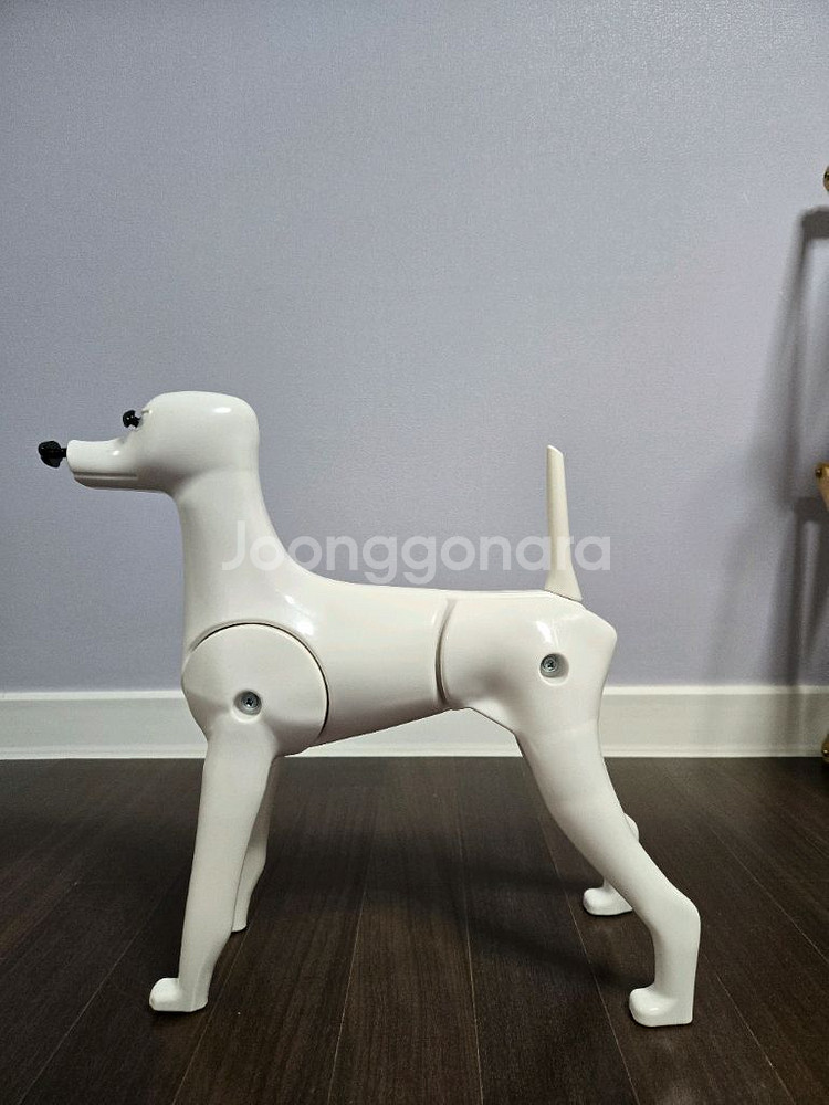 애견미용 위그견체모형 (협회시험 봤음)택포--0
