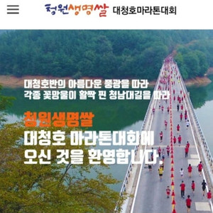 2025 대청마라톤 풀, 10킬로 배번 양도 구합니다