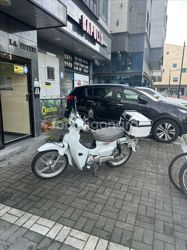 23년 슈퍼커브 화이트--0