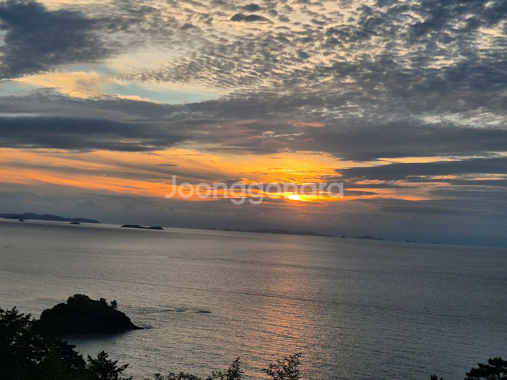 한우정액kpn정리합니다--0