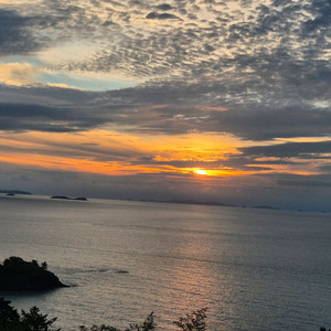 한우정액kpn정리합니다