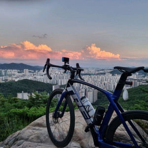 23년식 트렉 마돈 sl6(올순정) 56사이즈 이미지