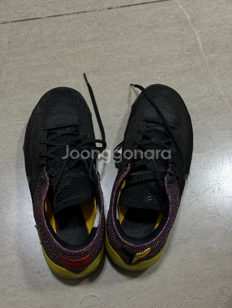 나이키 코비 AD NXT 360 멀티컬러 (US 9.5--3