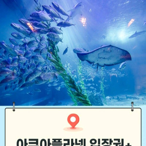 제주/ 여수/ 광교/ 일산 아쿠아플라넷[빠른답장즉시전송