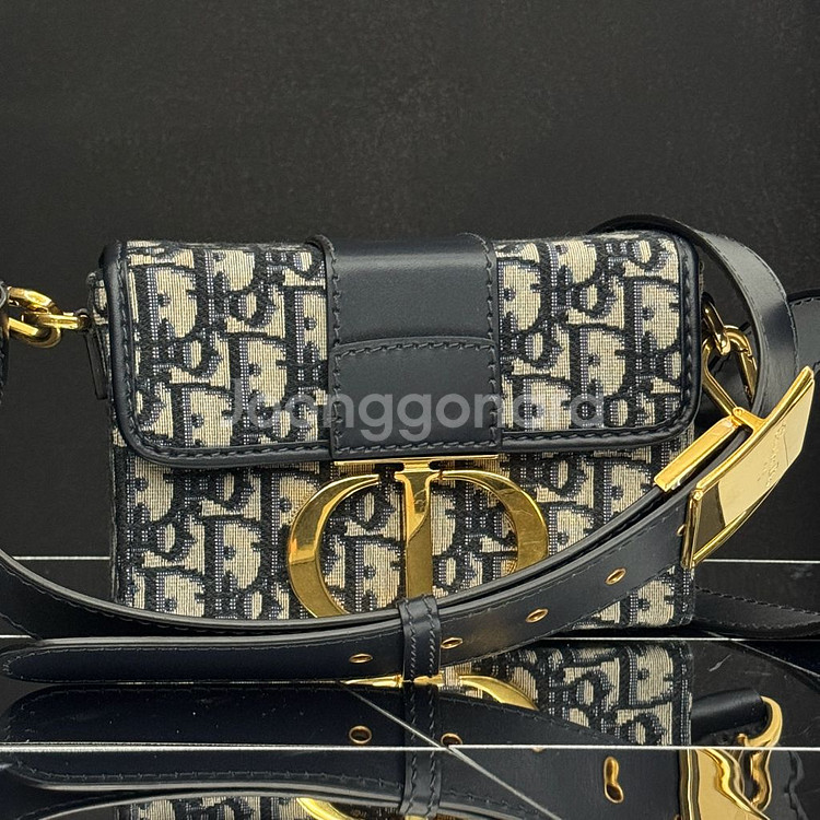 디올 몽테인30 오블리크 박스백--2