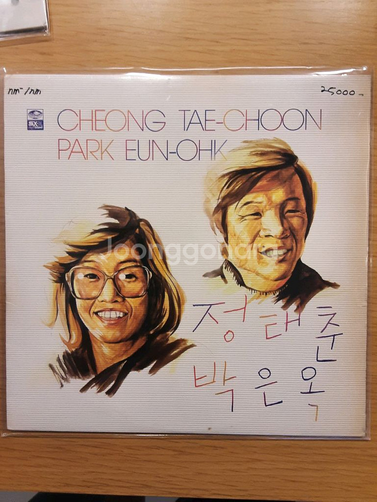정태춘 lp 외 8장--0