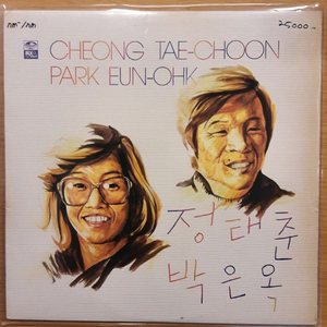 정태춘 lp 외 8장