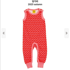 던스 미니순무 덩가리 80