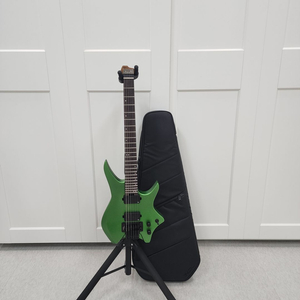 헥스 헤드리드 일렉기타 N500 메탈그린