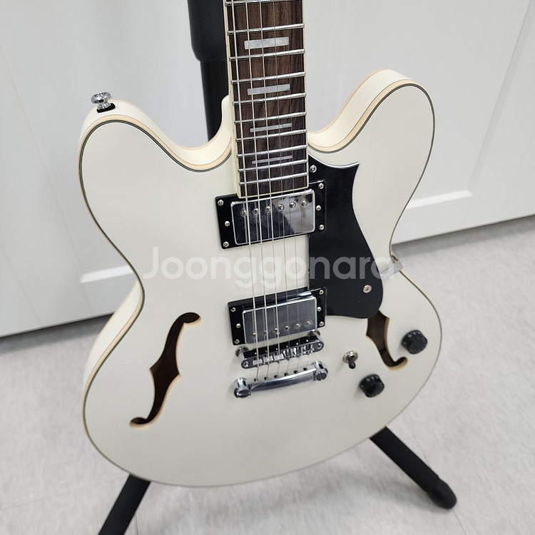 헥스 세미할로우 일렉기타 Q300 아이보리--5