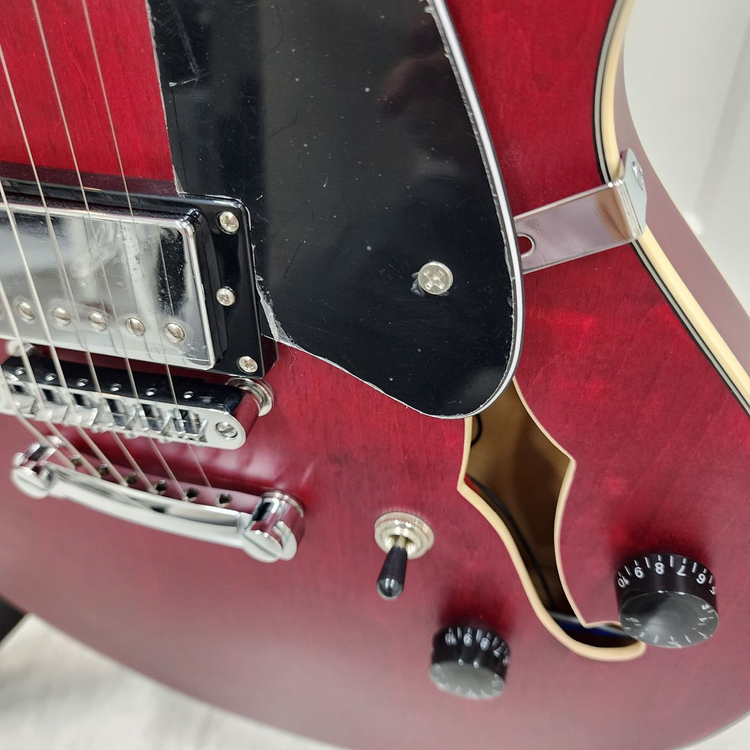 헥스 세미할로우 일렉기타 Q300 레드--4