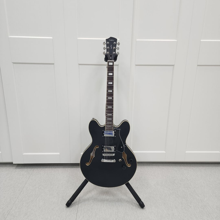 헥스 세미할로우 일렉기타 Q300 블랙--1