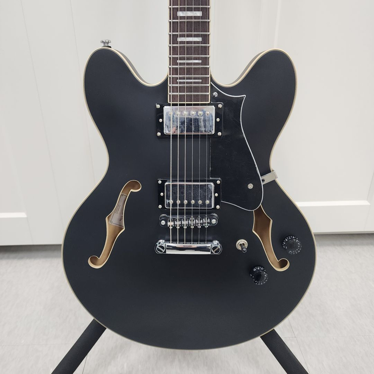 헥스 세미할로우 일렉기타 Q300 블랙--2