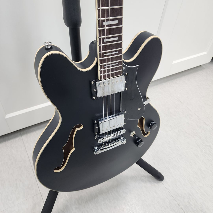 헥스 세미할로우 일렉기타 Q300 블랙--5