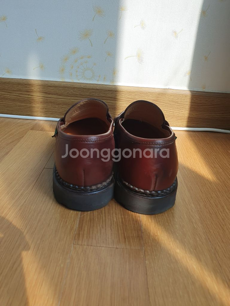 파라부트 레임스 카멜 UK8--3