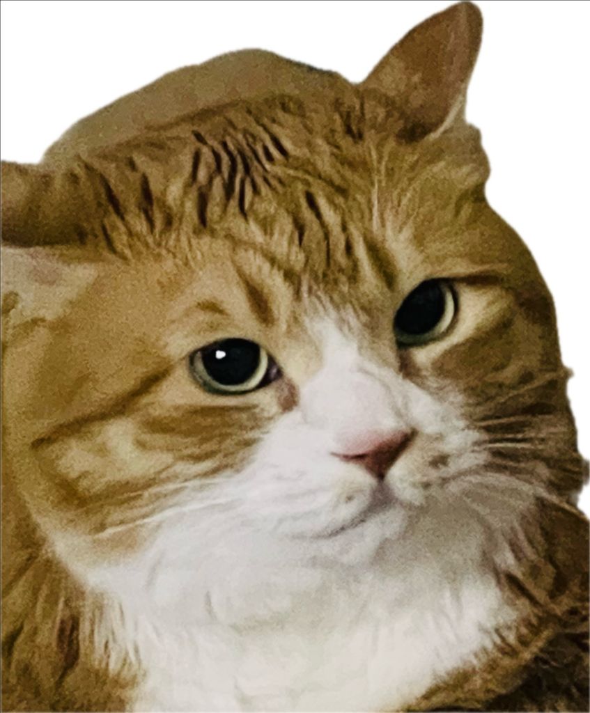 profile-image