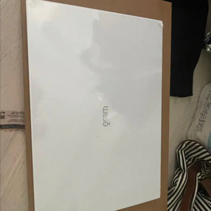 LG 2024 그램 프로 16인치 울트라5 512gb