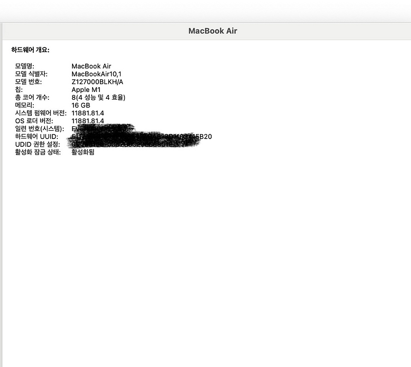 맥북 에어 m1 실버 256GB 16GB--5