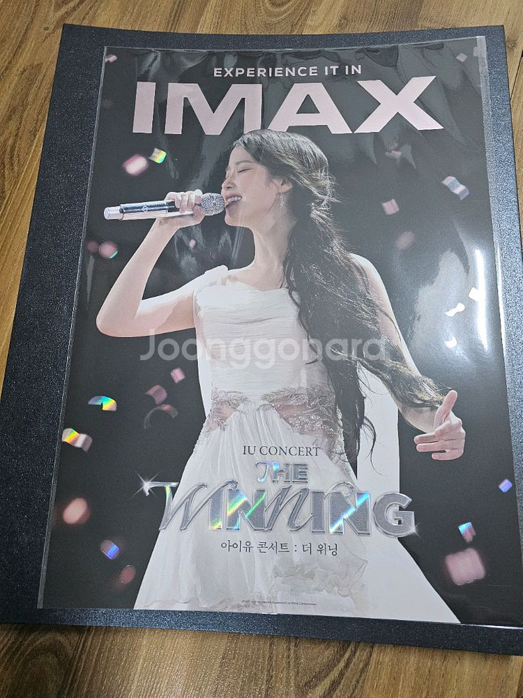 아이유 콘서트 더위닝 imax 포스터--0